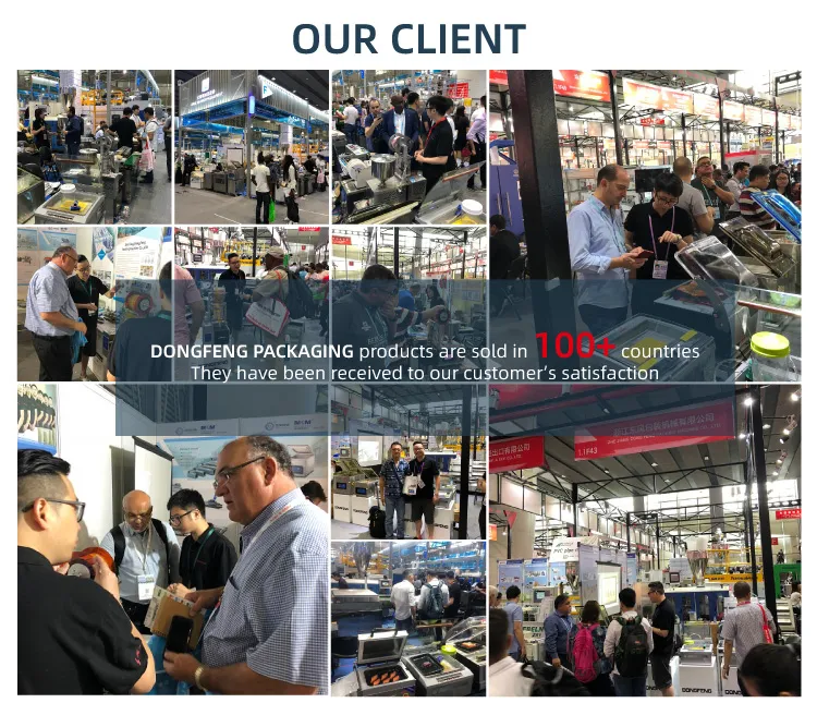 DBF-770W Sealing Parts