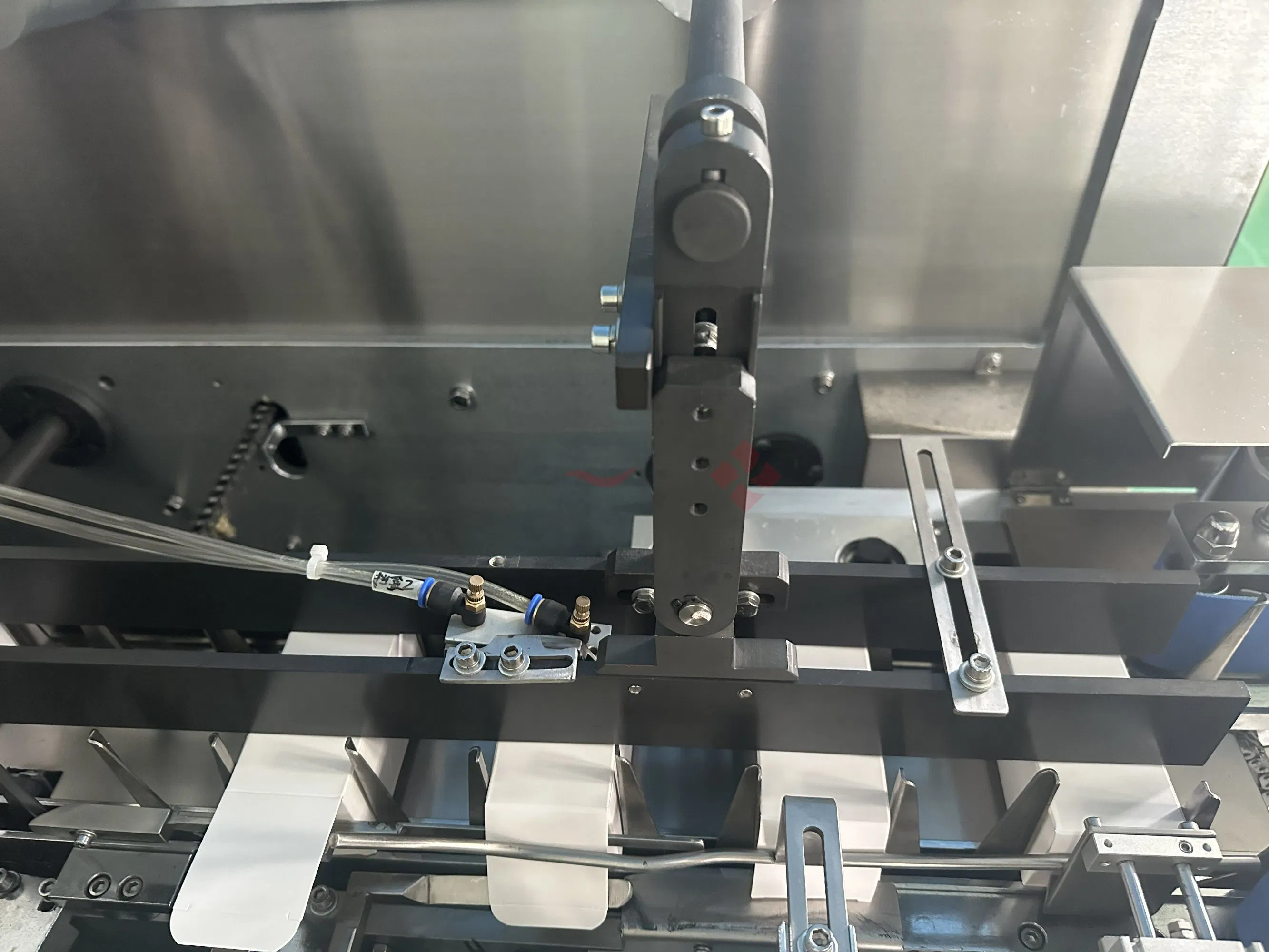 Case Erecting and Filling Machinery Full Automation Small Vertical Tablet Capsule Packaging Line Powder Packing Machine with Low Cost