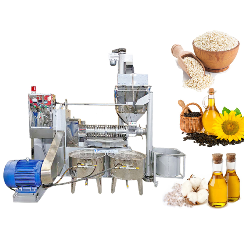 High-Efficiency Large Capacity Oil Press for Soybeans and Seeds