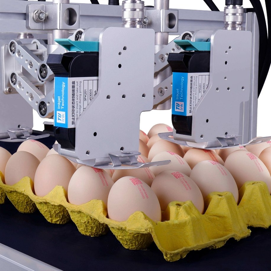 Docod OEM/ODM High-Protection Tij Printhead T600-6 12.7mm-76.2mm Industrial Inkjet Date Printer Coding Machine Manufacturers for Caffe Egg Bag