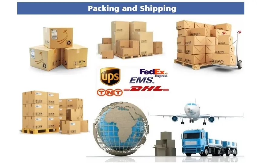 Logistics and Packaging