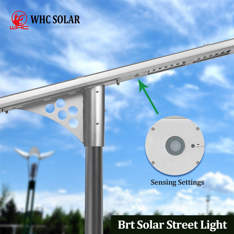 Whc Waterproof All in One 20W Outdoor Street Lights Solar Street Lamp with Solar Panel