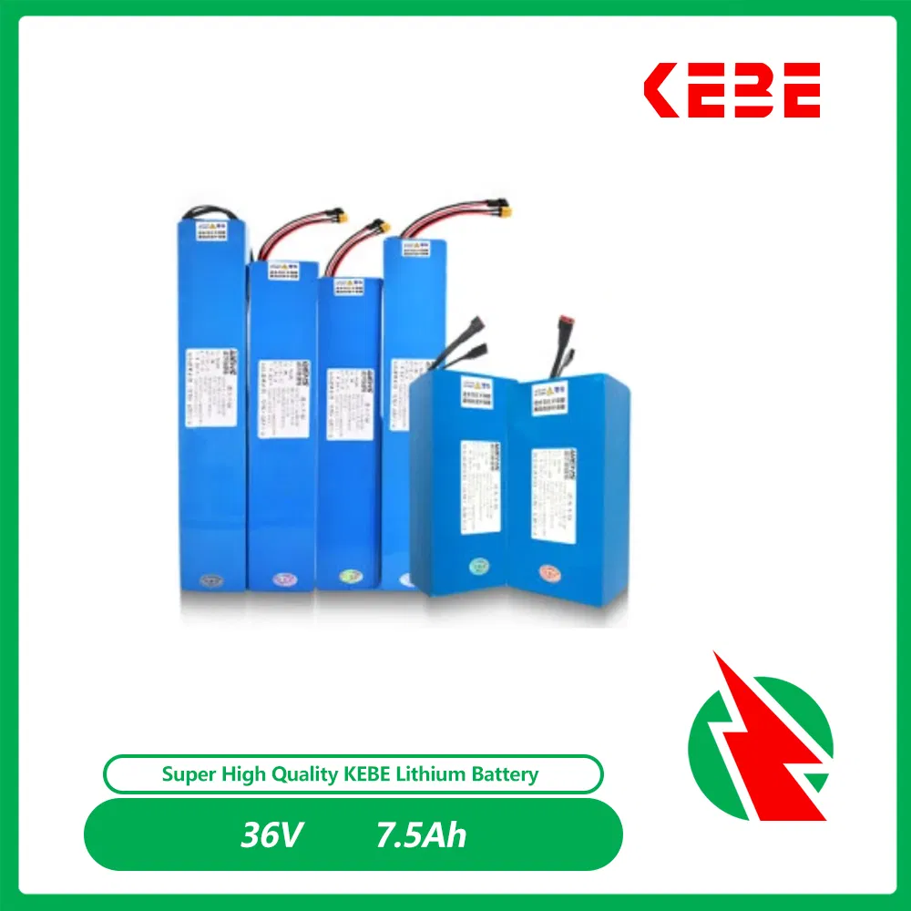 Source Manufacturer 36V-7.5ah V1 OEM Customizaiotn Lithium Ion Battery Scooter Battery Power Battery E-Bike Battery