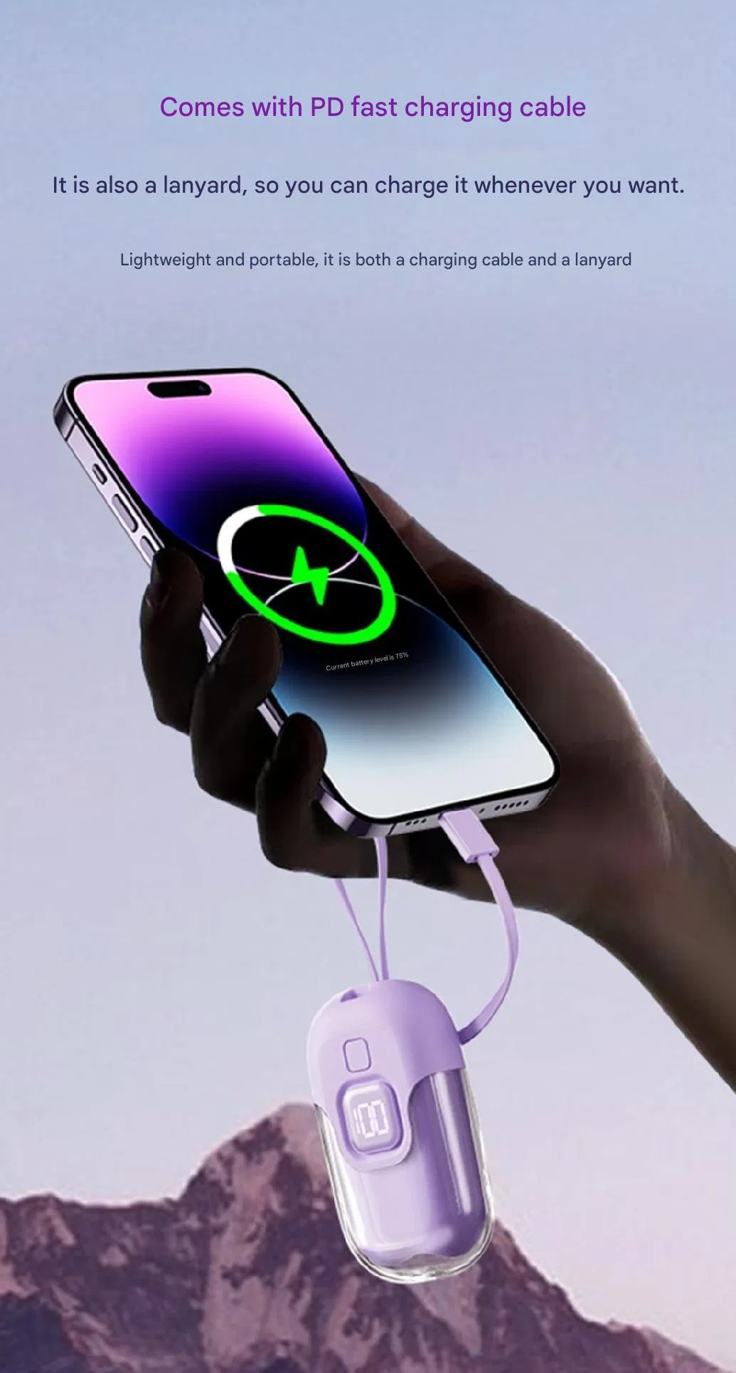 Quick Charge Details