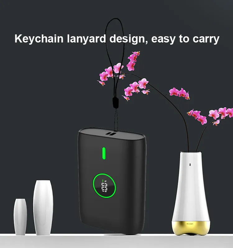 Power Bank Display 6