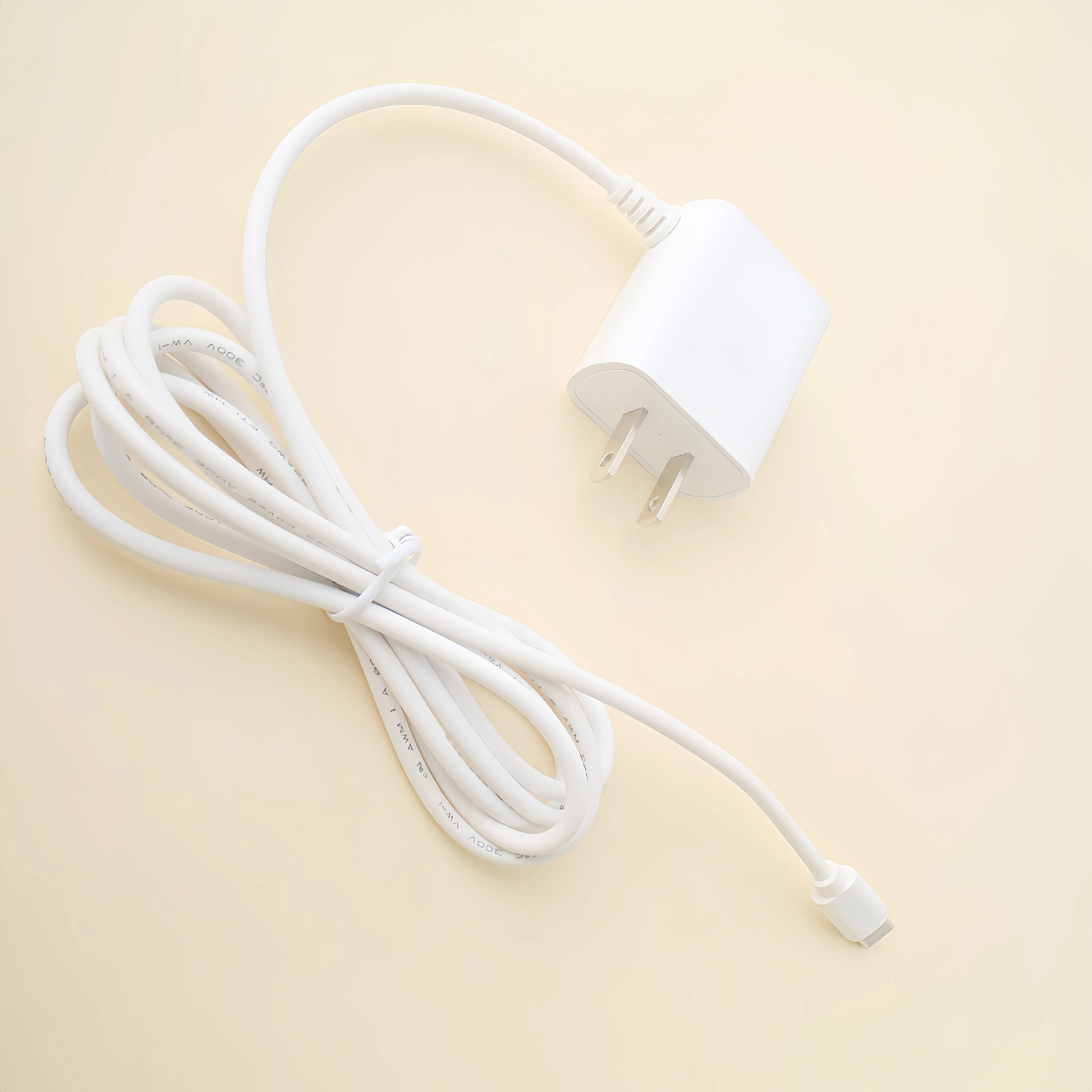 Ultra Compact 5V 2A Type-C Travel Wall Charger for Fast Charging