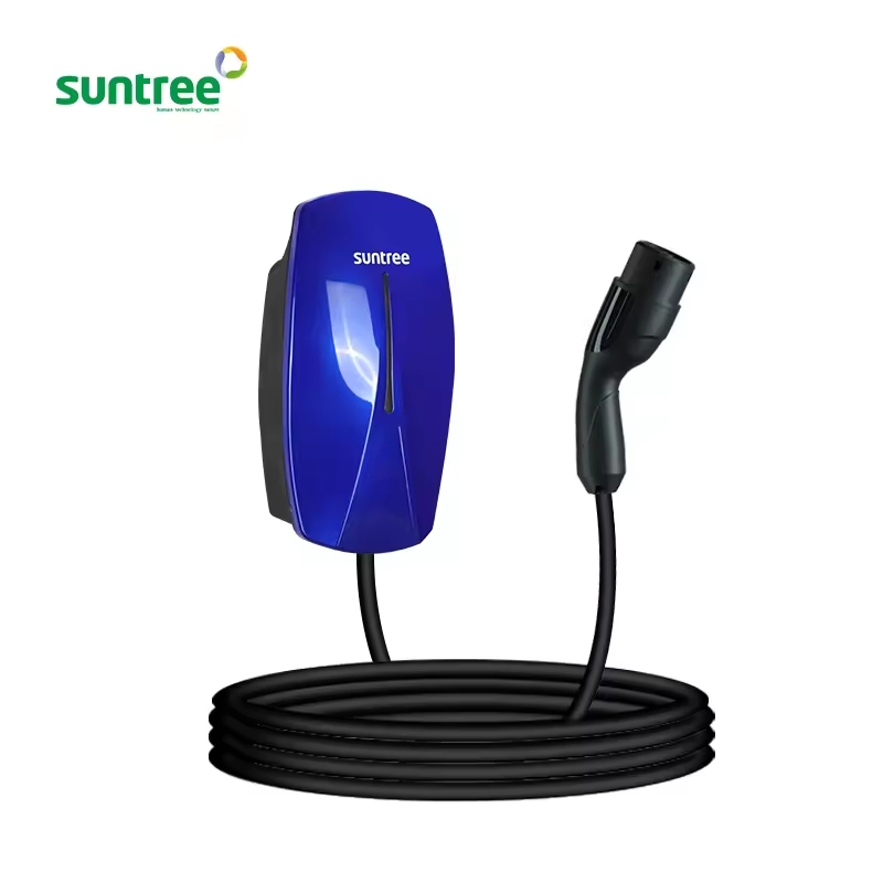 Chinese Factory Price AC Source EV Charge Station/Charger 7kw/11kw/22kw Dlb