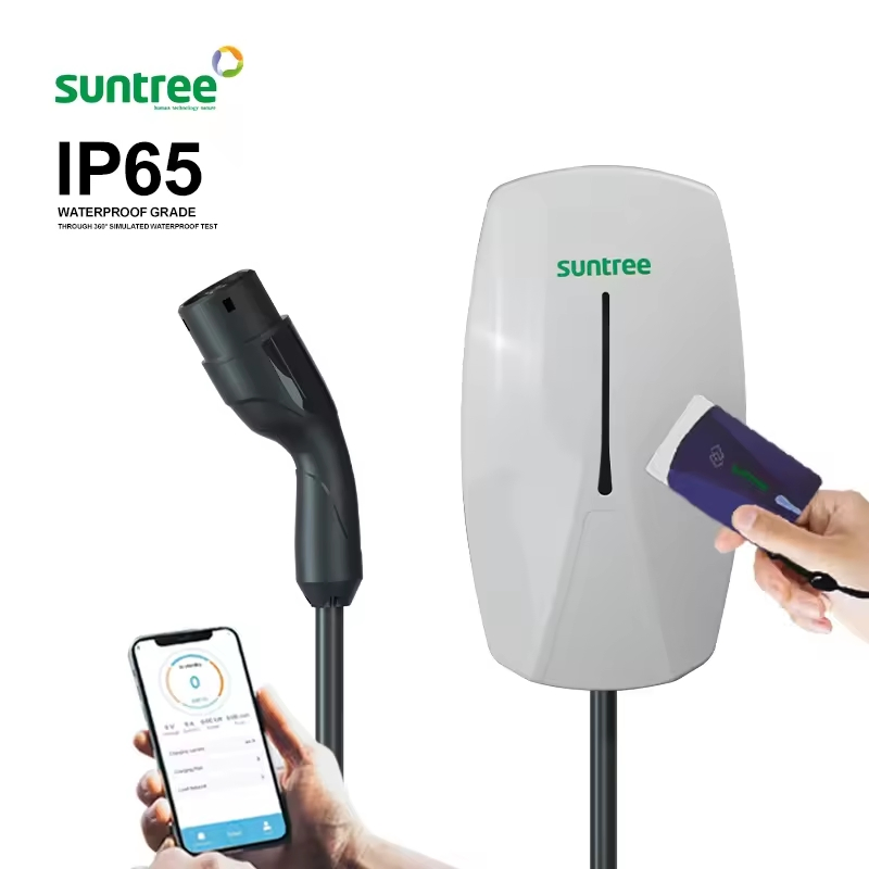 Chinese Factory Price AC Source EV Charge Station/Charger 7kw/11kw/22kw Dlb