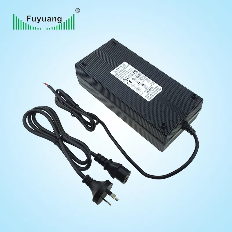 LiFePO4 Battery Charger View 3