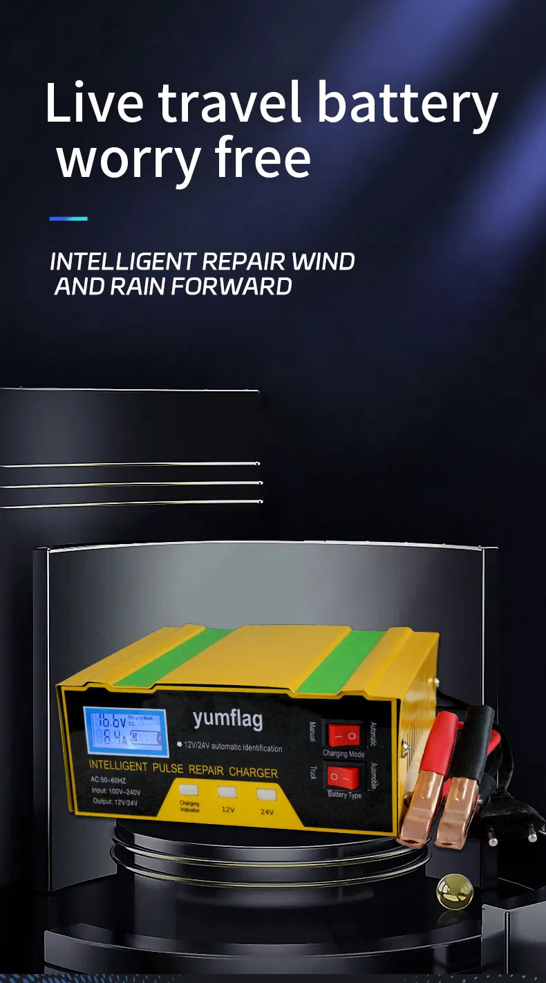 Battery Charger Display 1