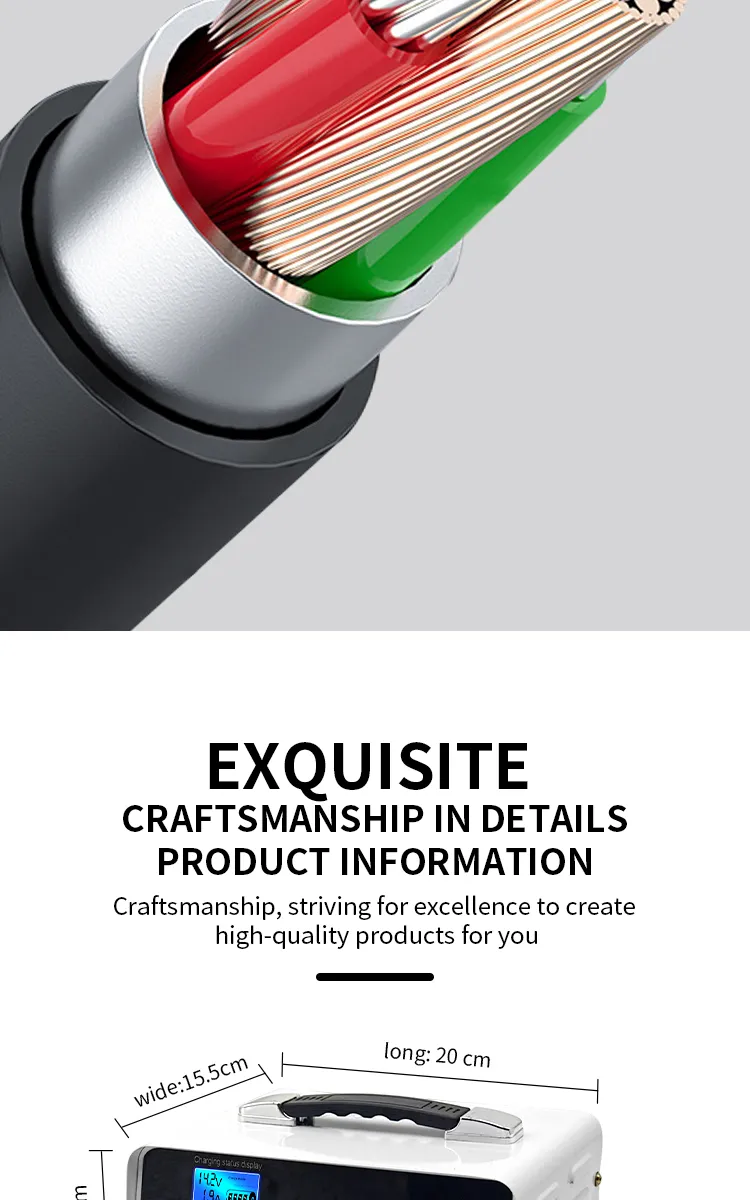 Battery Charger Display 10