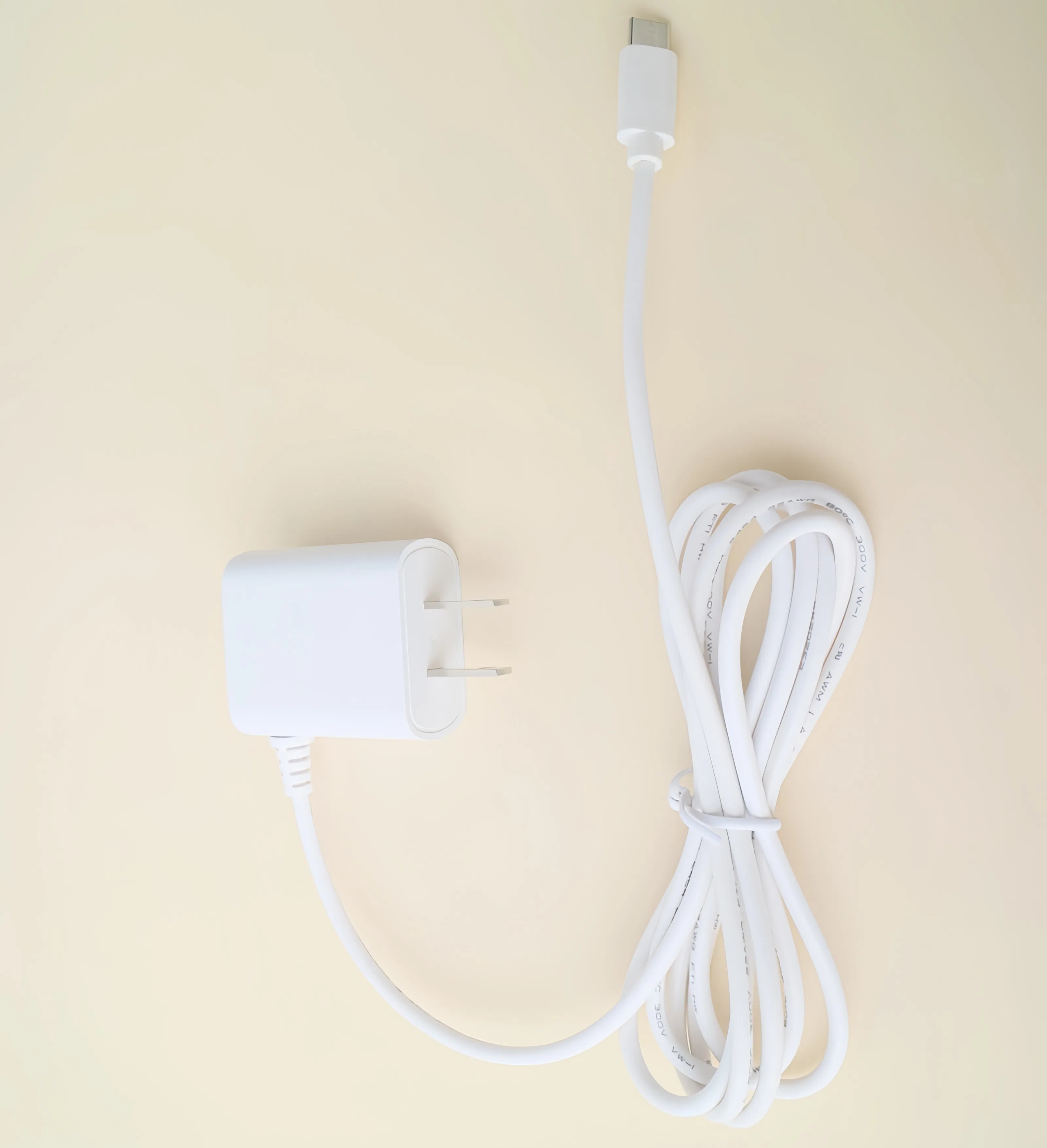 Ultra Compact 5V 2A Type-C Travel Wall Charger for Fast Charging