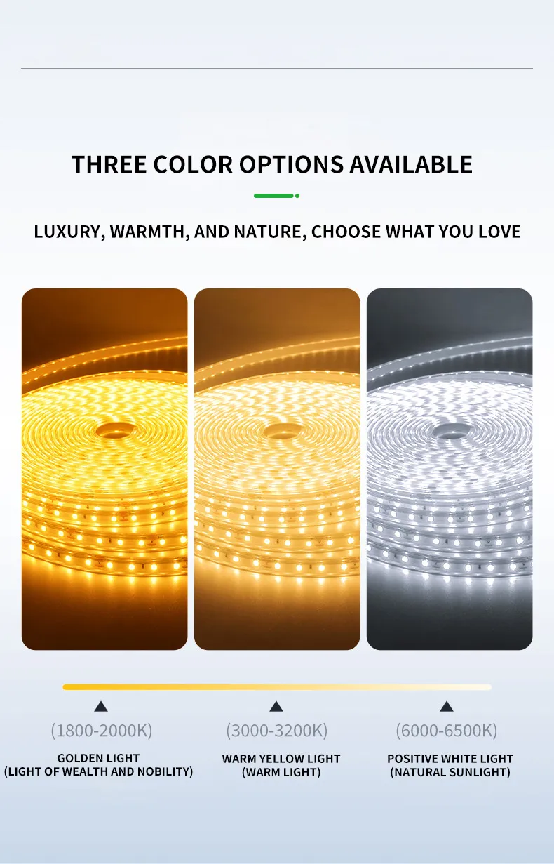 Solar Light Detail 2