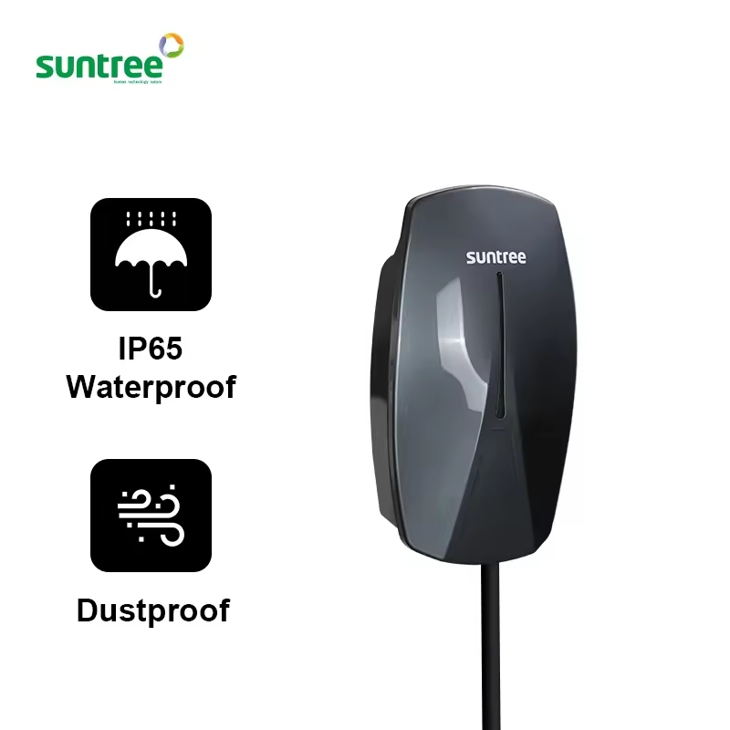 Chinese Factory Price AC Source EV Charge Station/Charger 7kw/11kw/22kw Dlb