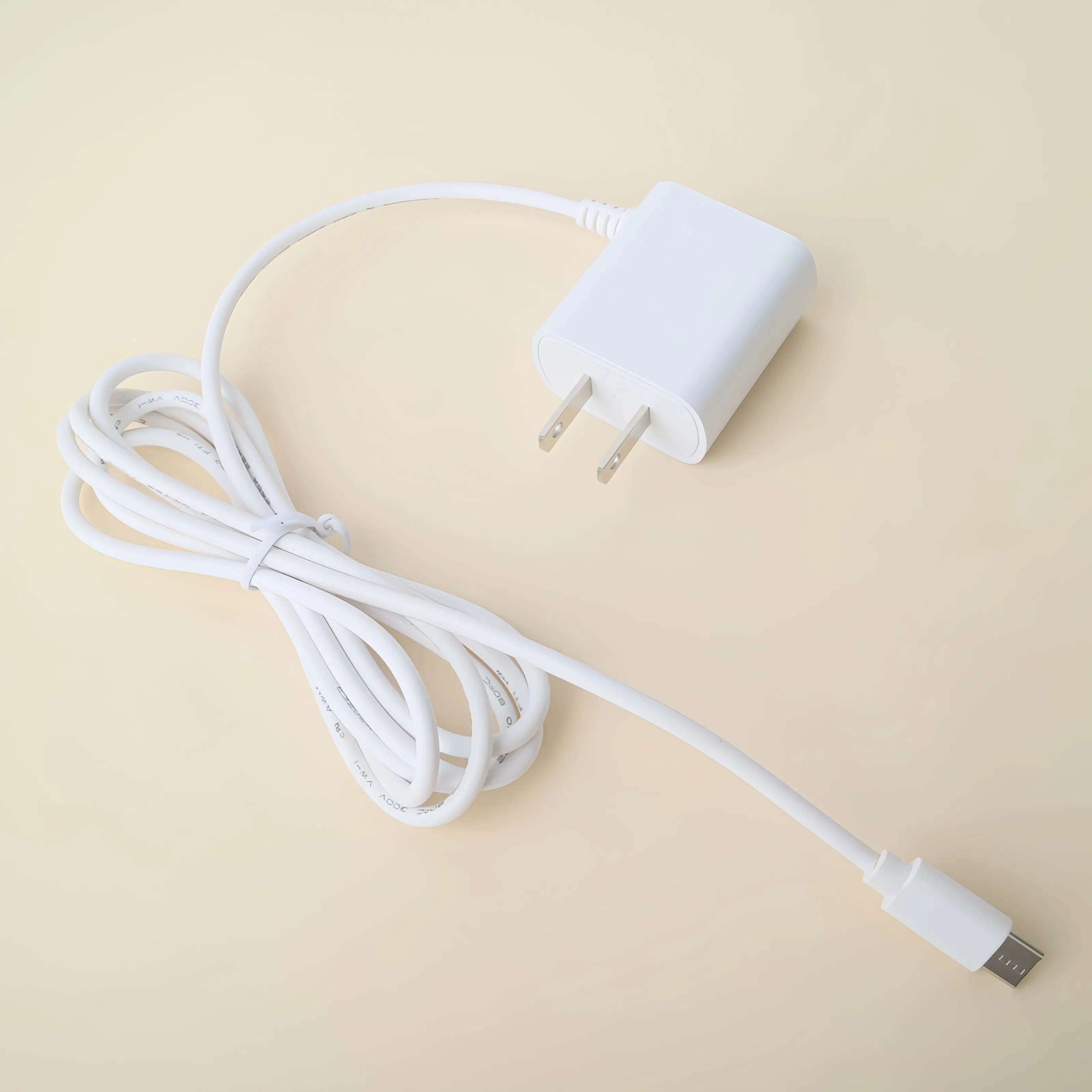 Ultra Compact 5V 2A Type-C Travel Wall Charger for Fast Charging
