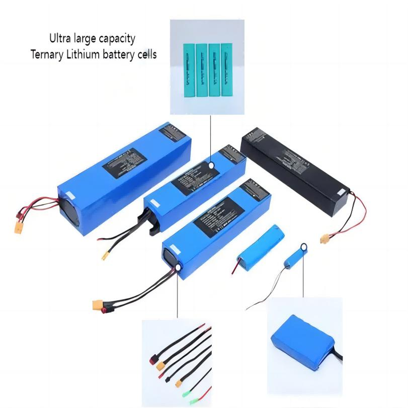 Source Manufacturer 36V-7.5ah V1 OEM Customizaiotn Lithium Ion Battery Scooter Battery Power Battery E-Bike Battery
