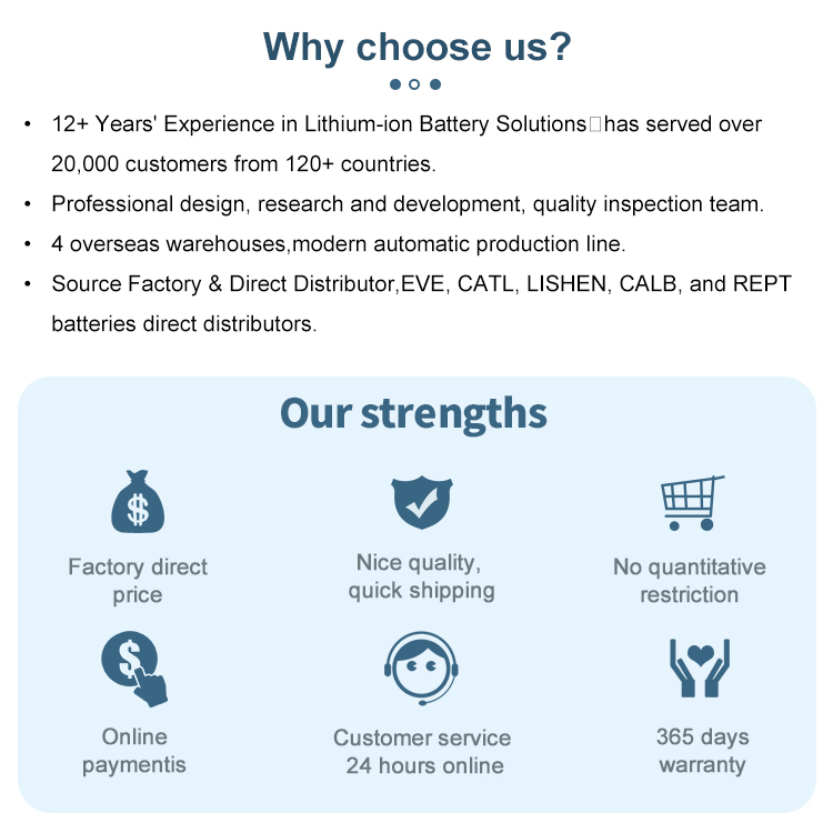 Why choose our team advantage diagram