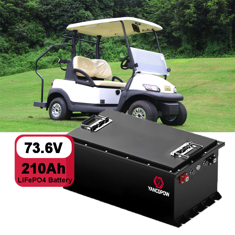 Golf Cart Lithium Iron Phosphate Electric Vehicle High-Power 51.2v 73.6v 105ah 210Ah Intelligent BMS Lithium Ion Battery Pack