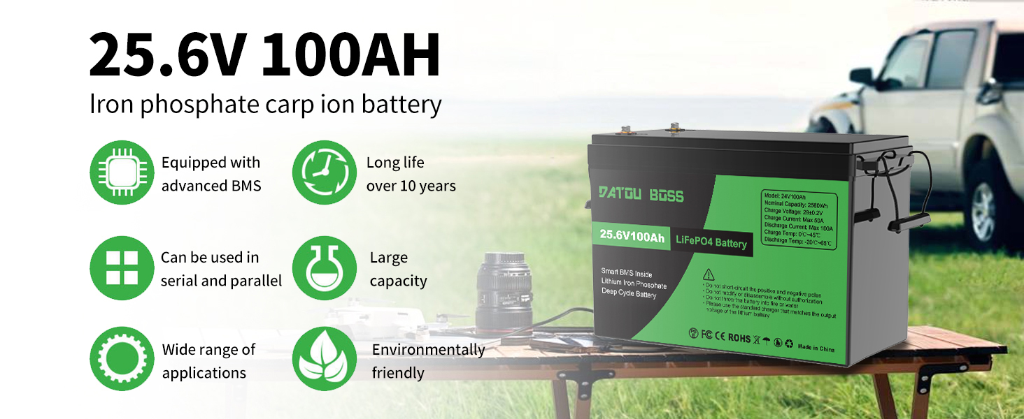 LiFePO4 Battery Details 4