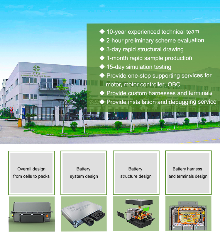 Electric EV Car Battery System