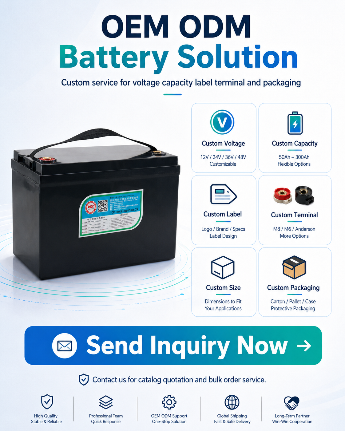 12V 100Ah LiFePO4 Lithium Battery Built In BMS Deep Cycle Power Pack