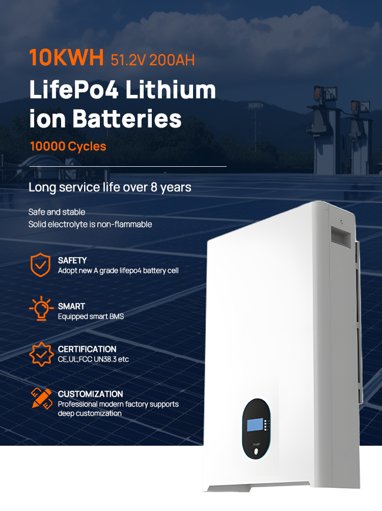 LiFePO4 Battery with BMS