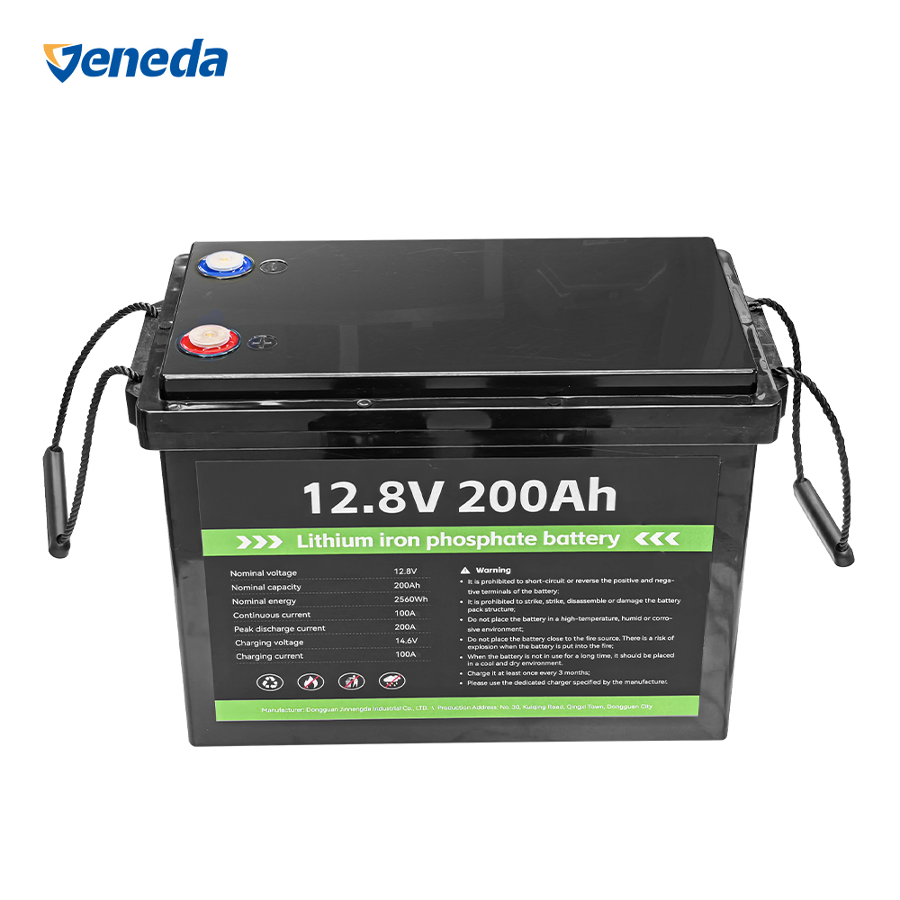 48V 100Ah LiFePO4 Battery Pack Deep Cycle Lithium Iron Phosphate Solar Storage EV ESS Home Backup Marine UPS OEM ODM Factory