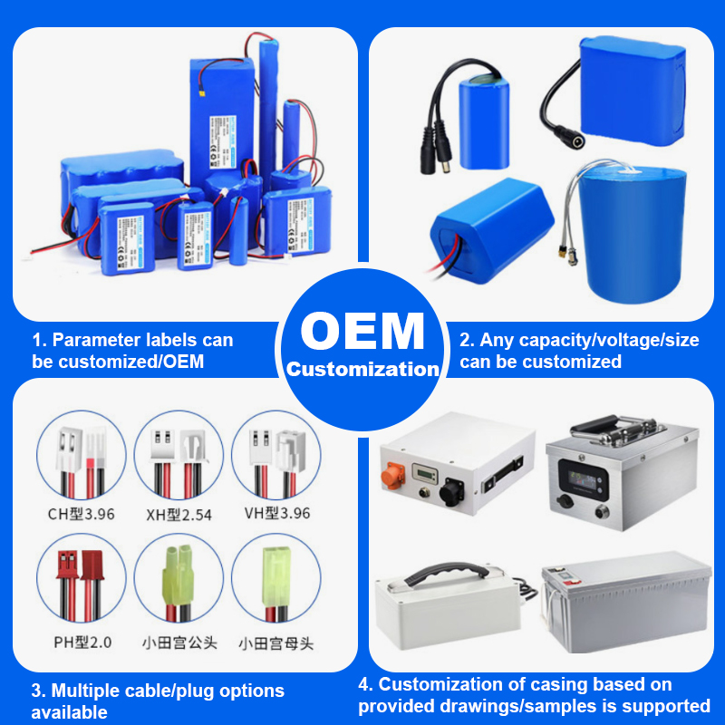 Custom 12V-72V 50Ah-314Ah Deep Cycle Energy Storage Solar RV Marine Backup Power 12V LiFePO4 Battery Pack