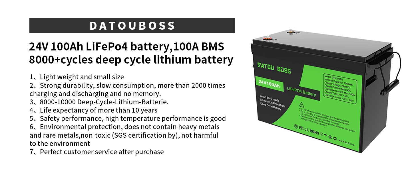 LiFePO4 Battery Details 1