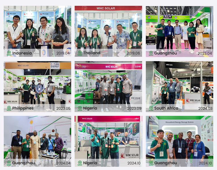 Exhibition History