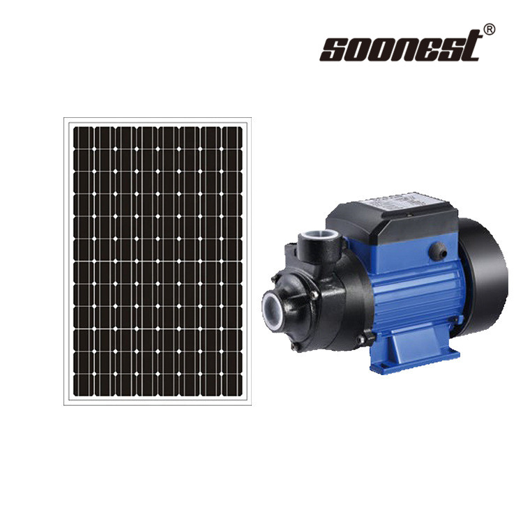 24V DC Top Quality Solar Pump Surface Water Drinking Pump Micno Inverter Drill Deep Well Pump