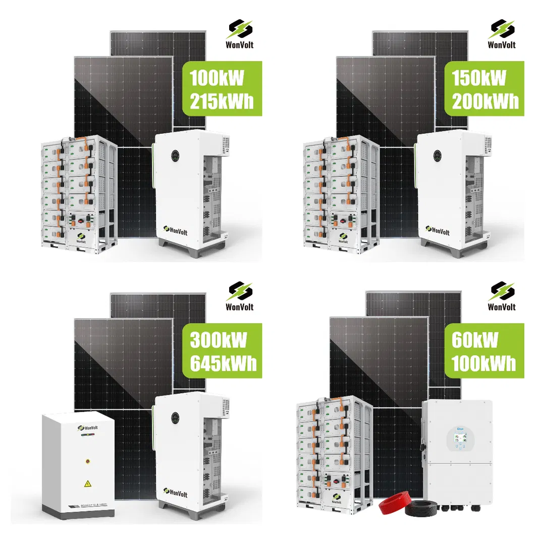 Commercial Storage System