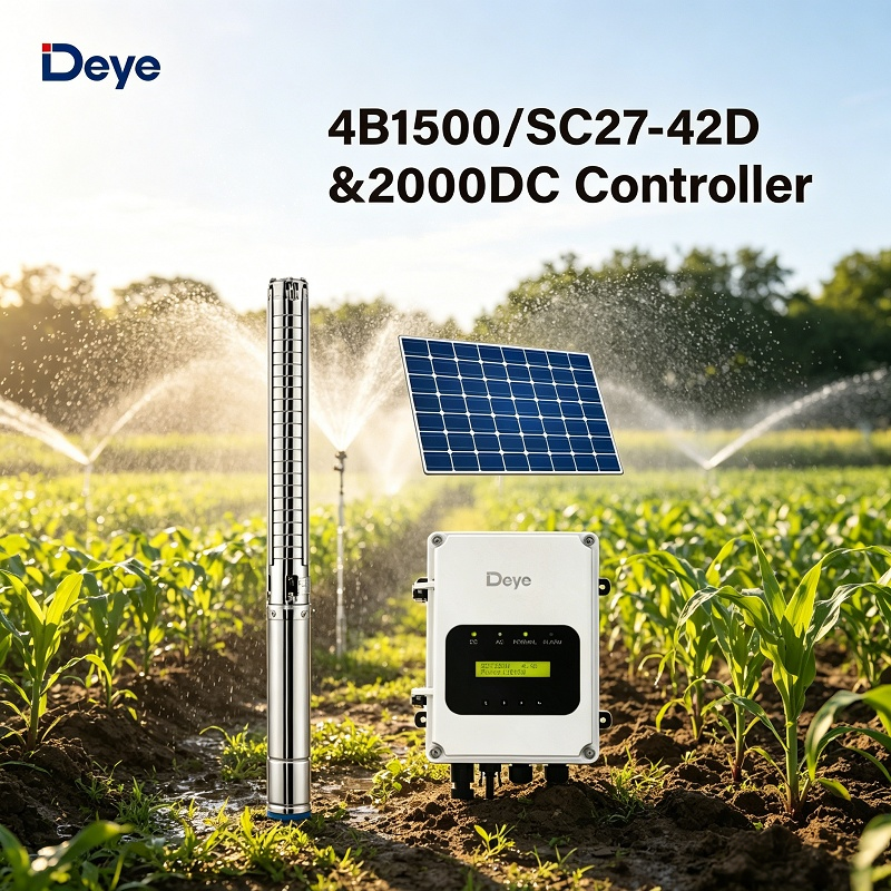 Deye MPPT Pure DC Solar Water Pump Frequency Converter CE Certified IP65 Waterproof Inverter Controller for 4B1500 Screw Pump