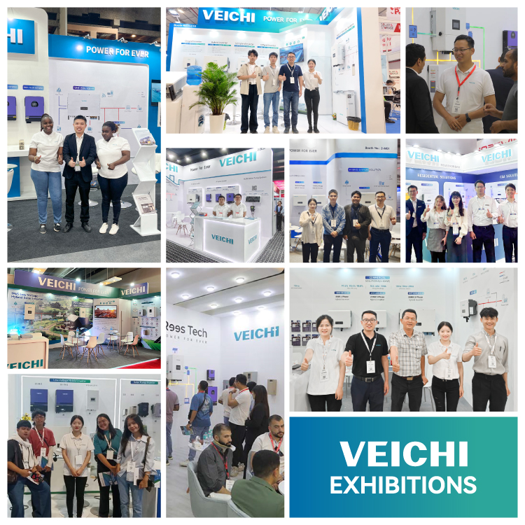 Exhibitions