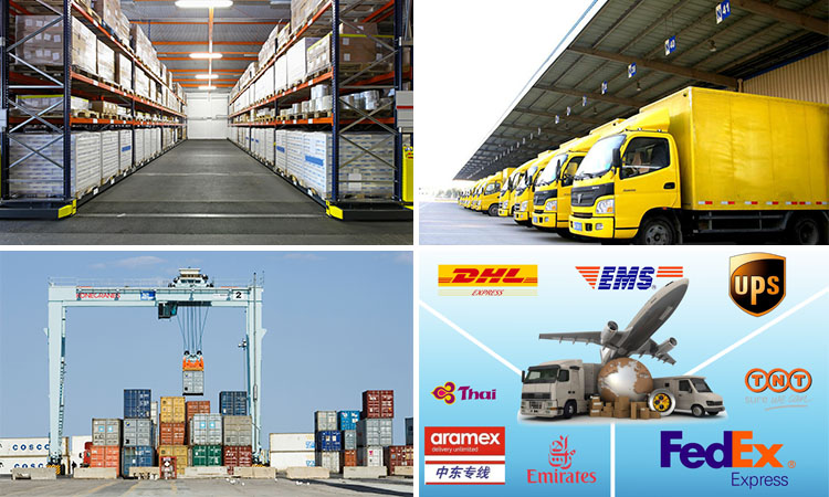 Shipping Logistics