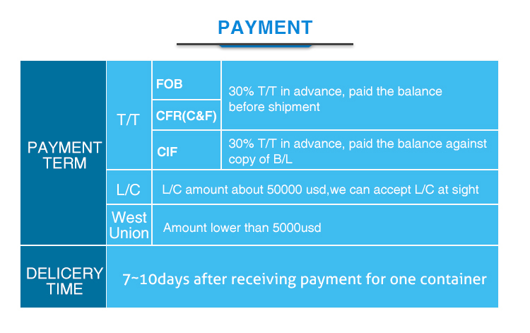 Payment