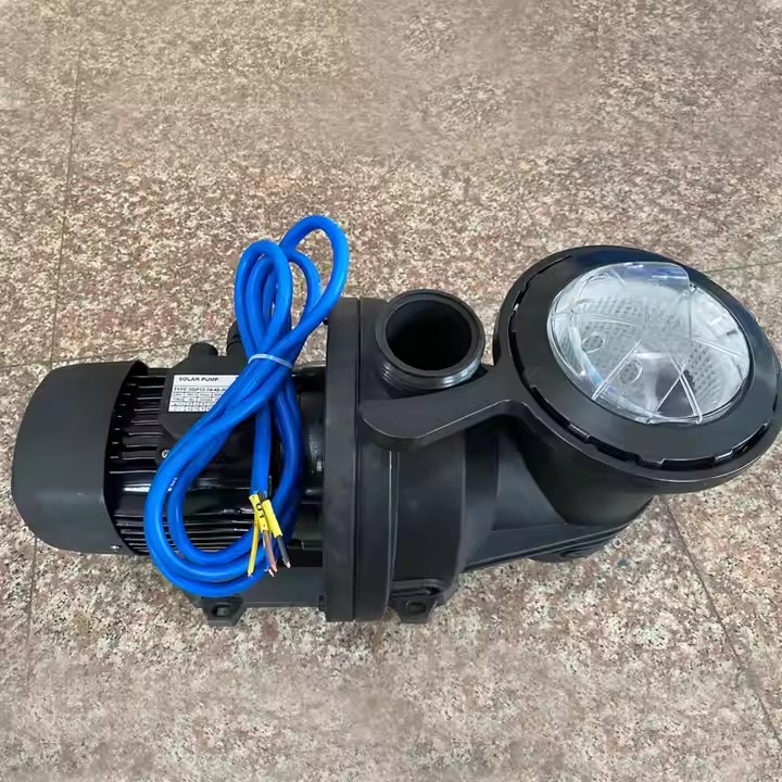 24V DC Top Quality Solar Pump Surface Water Drinking Pump Micno Inverter Drill Deep Well Pump