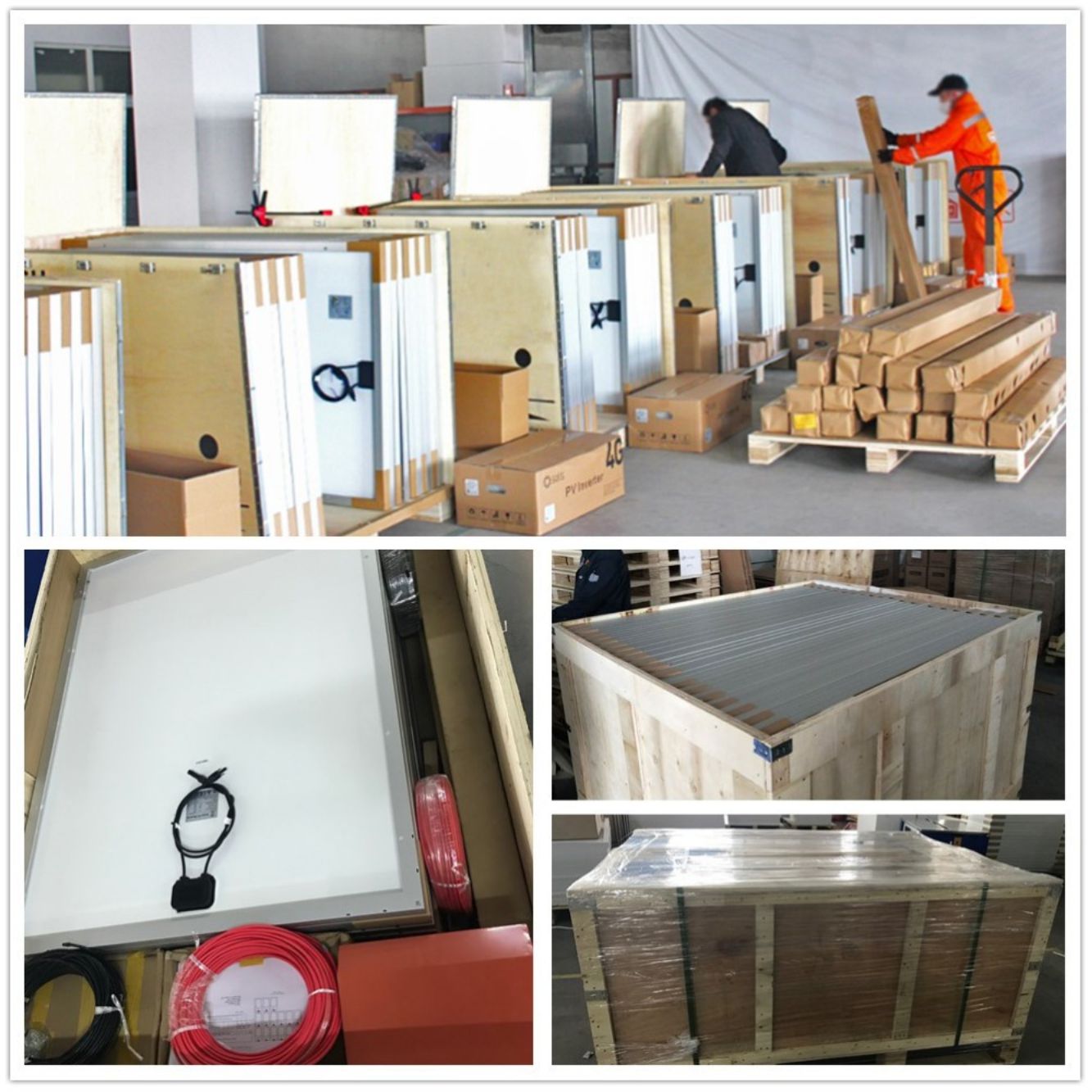 Carton Packaging