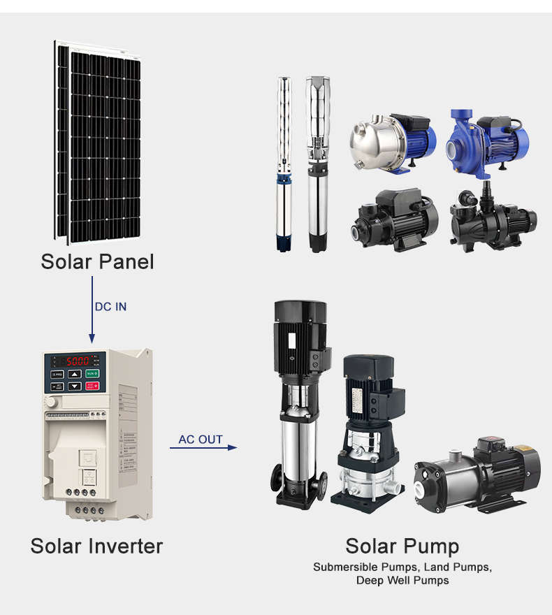 Application Image 2