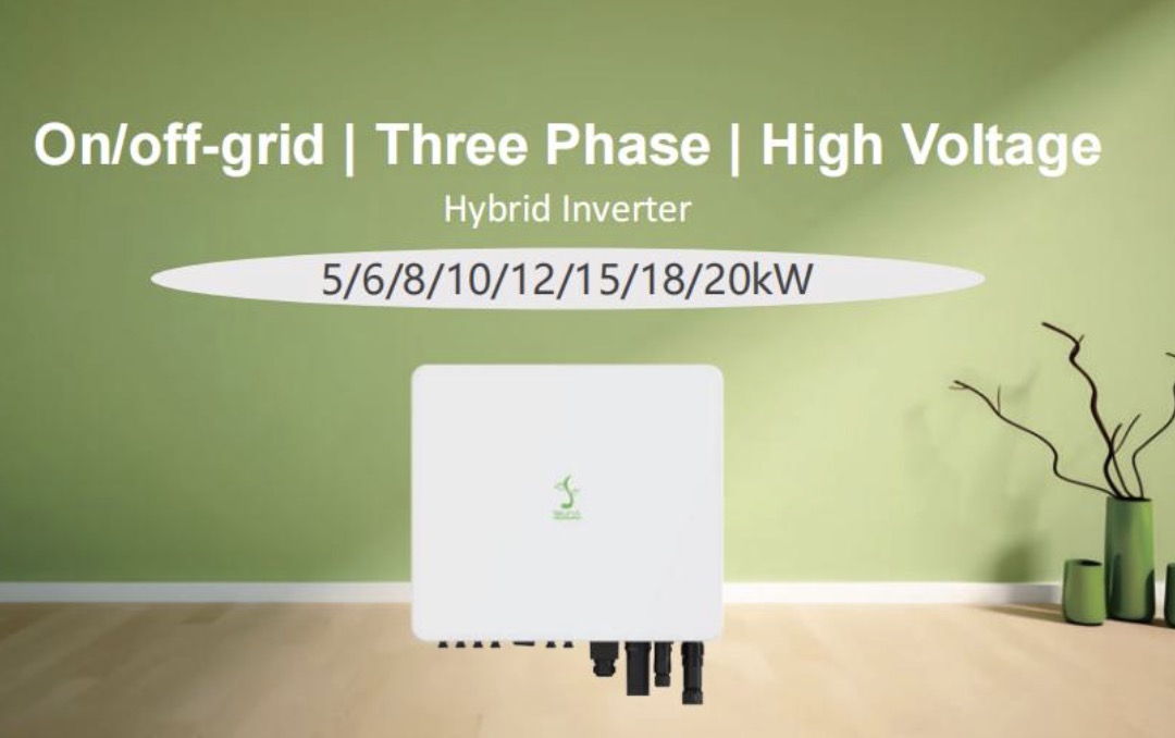 HWS US Version 20kw Three-Phase Dual Single Output On/off-grid High Voltage Hybrid Solar Inverter 220/380V