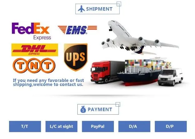Shipping Logistics