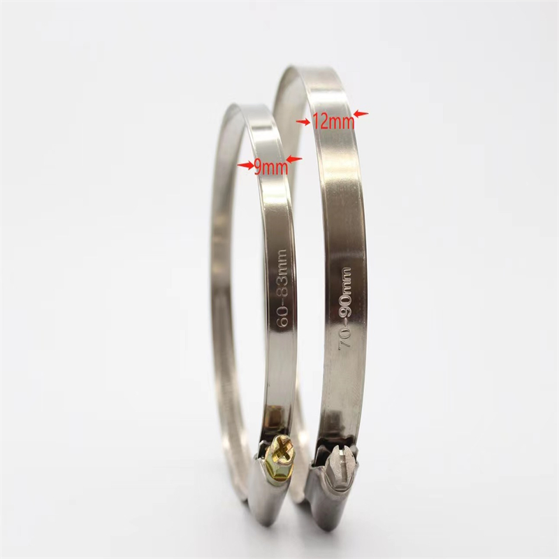 DIN3017 German Type Hose Clamp Pipe Clamp 9mm Width 6 Inch