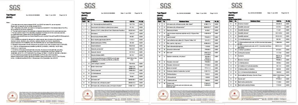 SGS Report 2