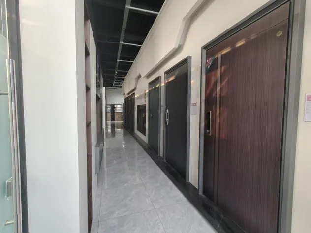 Security Door Detail 3