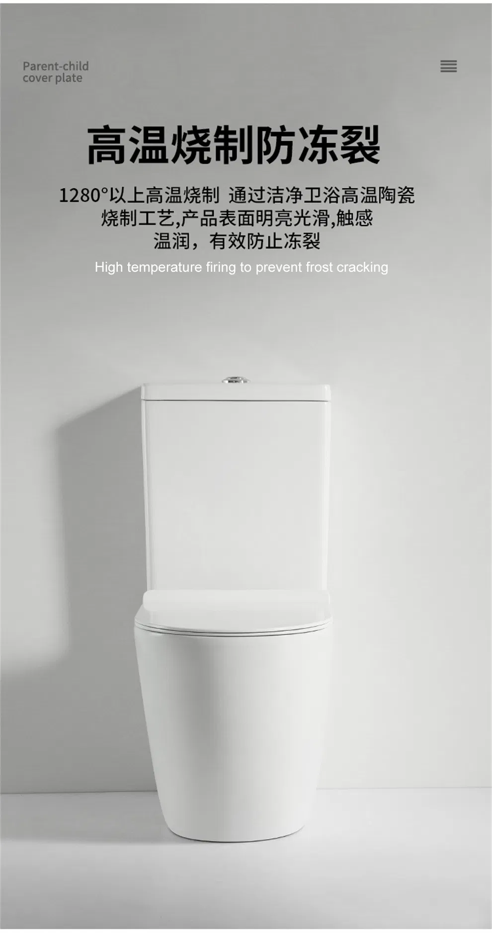 Toilet Bowl Details 6