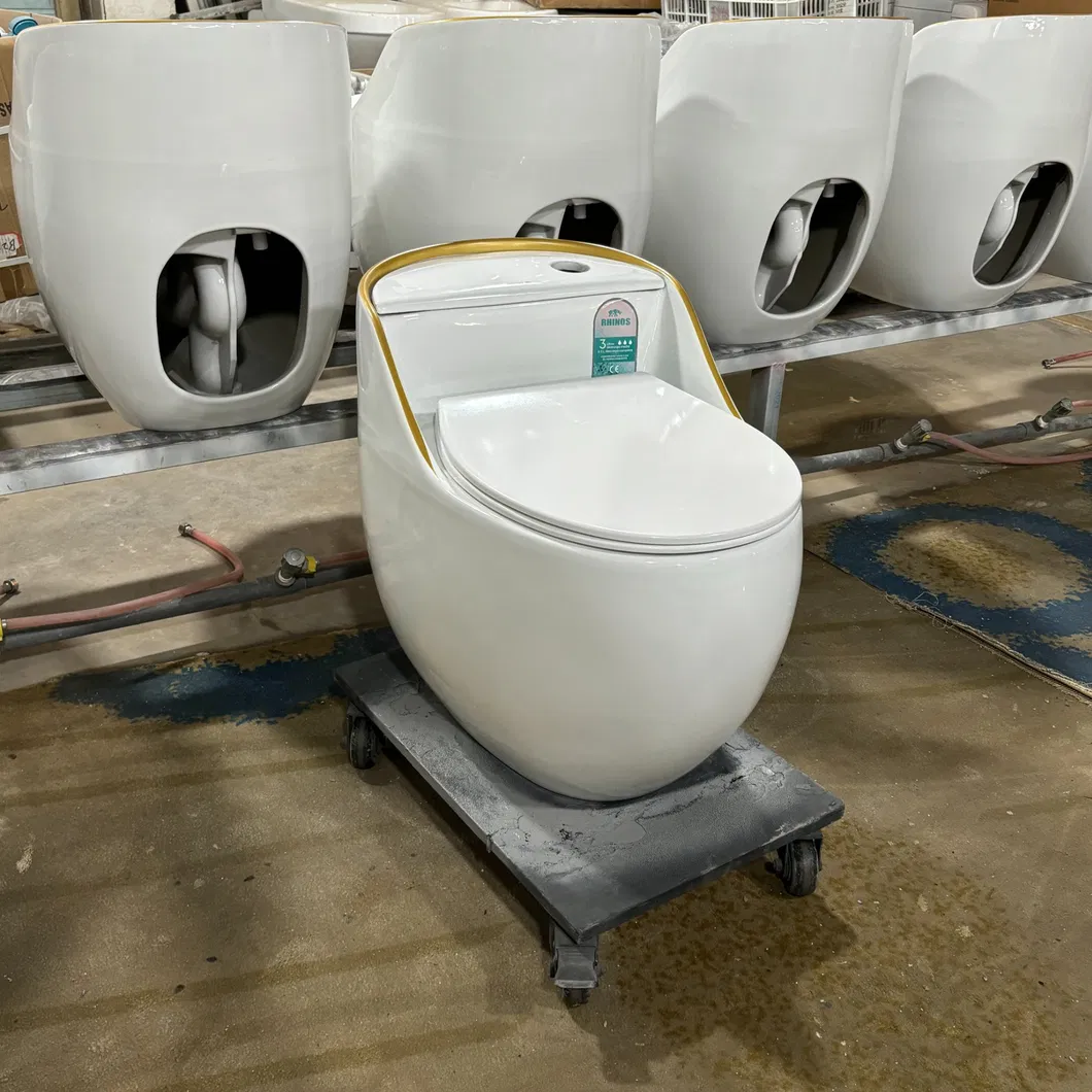 Ceramic Toilet View 2