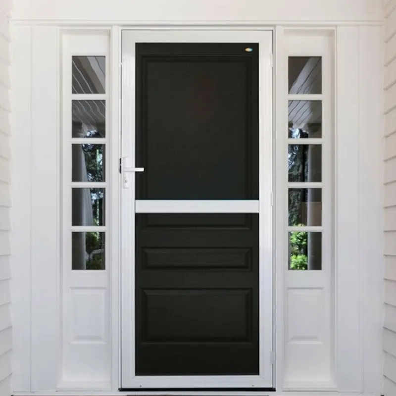 Hinged Security Door 3