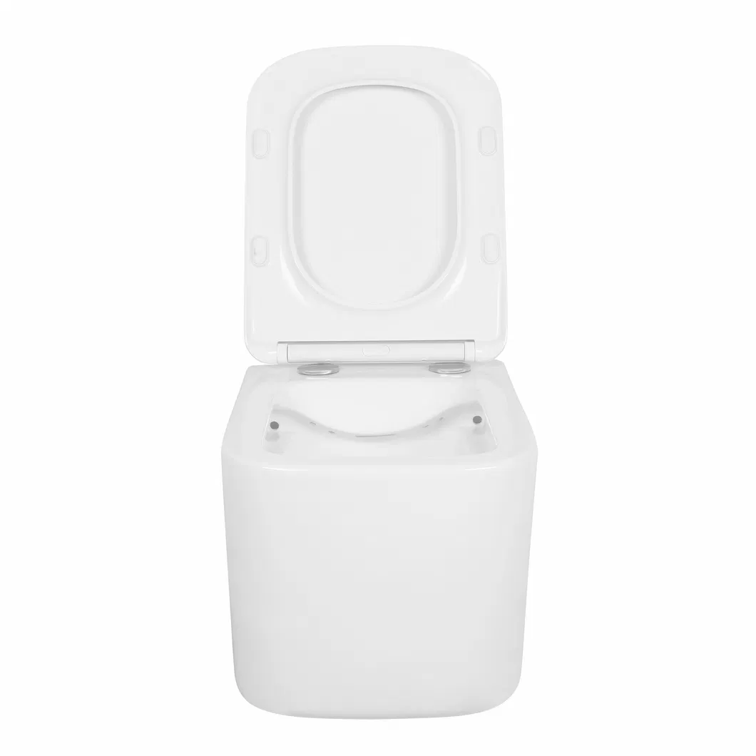 Wall Mounted Toilet View 2