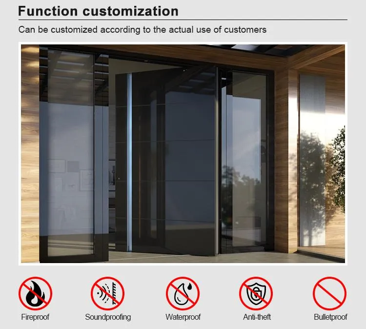 Stainless Steel Pivot Door