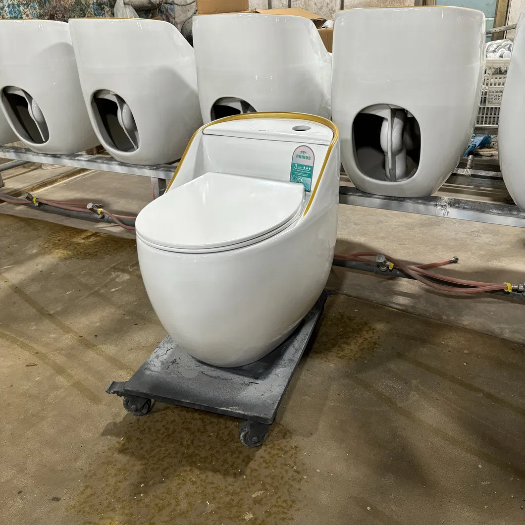 Ceramic Toilet View 3